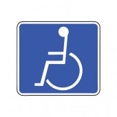تابلو راننده معلول